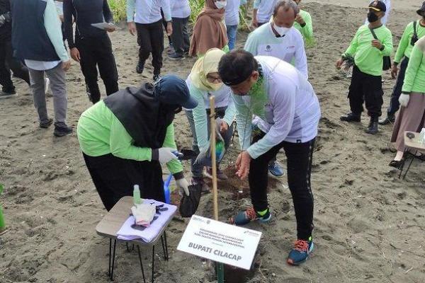 Pejabat Sementara General Manager PT Kilang Pertamina Internasional Refinery Unit IV Cilacap Didik Subagyo menanam bibit pohon cemara laut di Pantai Tegalkamulyan, Kelurahan Tegalkamulyan, Kecamatan Cilacap Selatan, Kabupaten Cilacap, Jumat (21/1), (Foto: Tribun)  