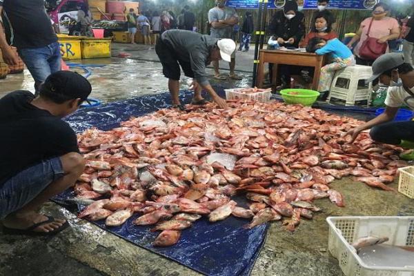 Pasar Ikan Balekambang Solo Jadi Destinasi Wisata Baru